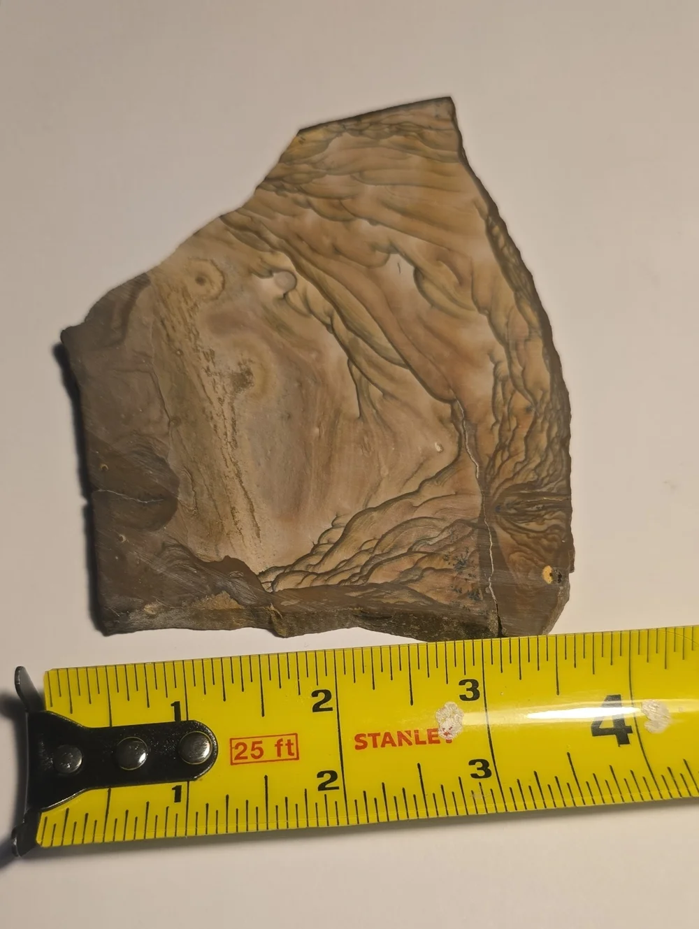 Old Stock Biggs Oregon Picture jasper Slab 147.49g